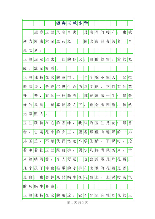 2019年望春玉兰小学作文400字
