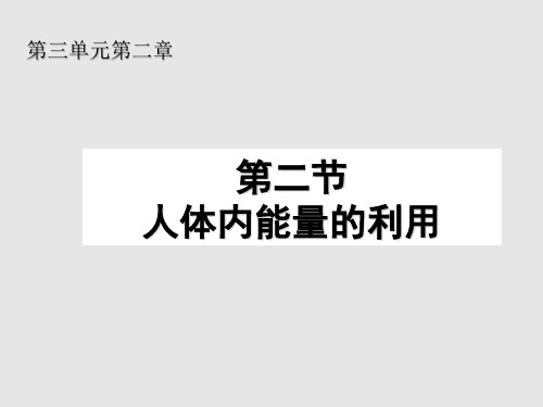 济南版生物七年级下第三单元第二章第二节 人体内能量的利用课件(20张PPT)