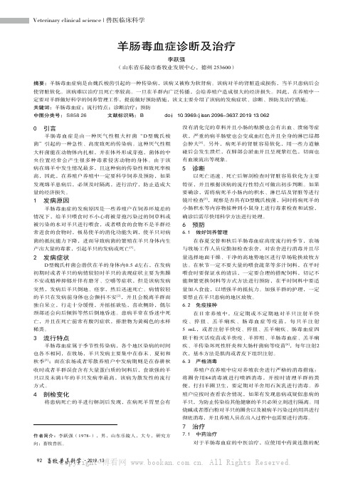 羊肠毒血症诊断及治疗