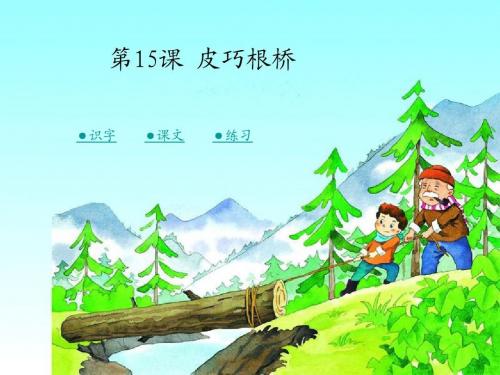 《皮巧根桥》PPT课件