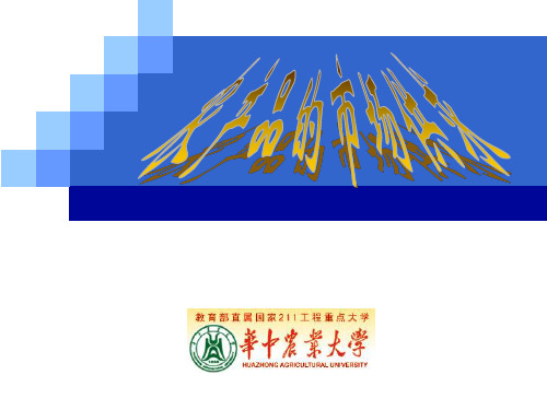 农产品的市场供求讲义(PPT 64页)