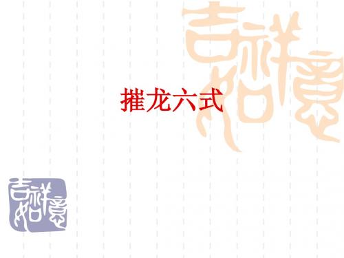 摧龙六式精华版