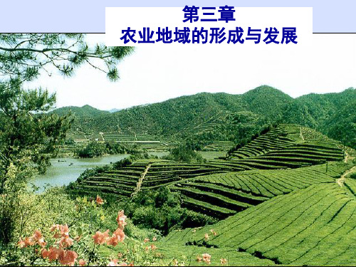 高中地理必修二第三章《农业地域的形成与发展》PPT课件