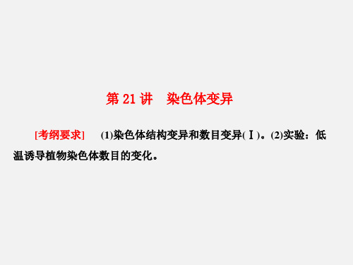 高考生物 一轮复习 生物的变异、育种和进化 第21讲 染色体变异 新人教版