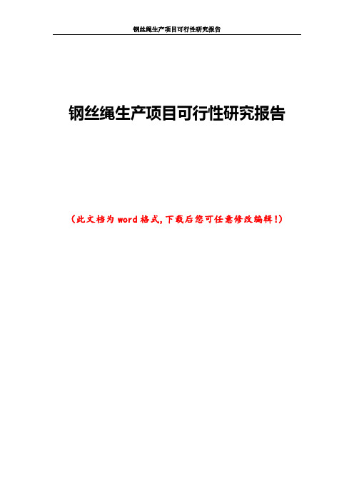 钢丝绳生产项目可行性研究报告