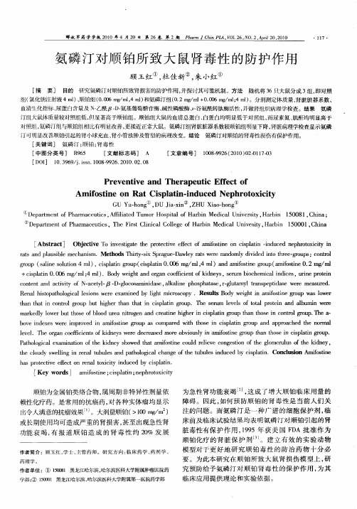 氨磷汀对顺铂所致大鼠肾毒性的防护作用