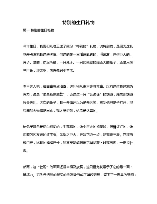 作文《特别的生日礼物》