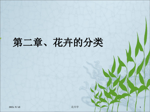 《花卉分类》PPT课件