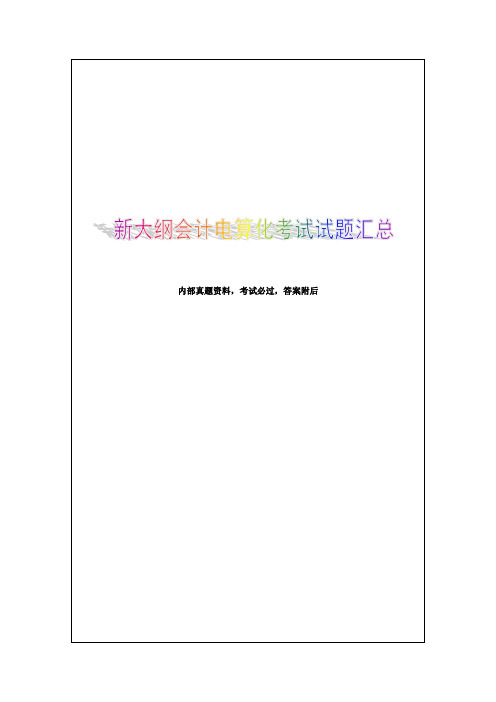新大纲会计电算化考试试题汇总
