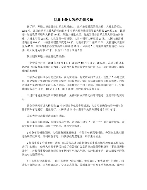 世界上最大的桥之斜拉桥