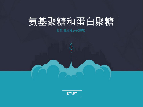 氨基聚糖和蛋白聚糖的作用和最新研究进展