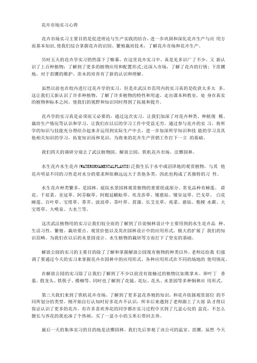 最新花卉市场实习心得