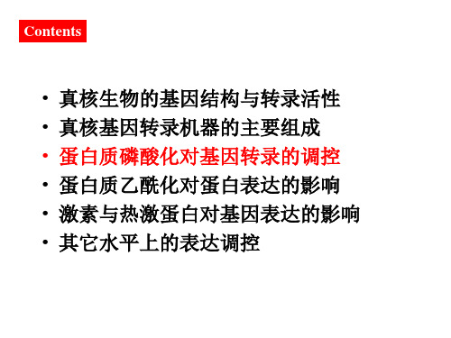 分子生物学课件第八章-2