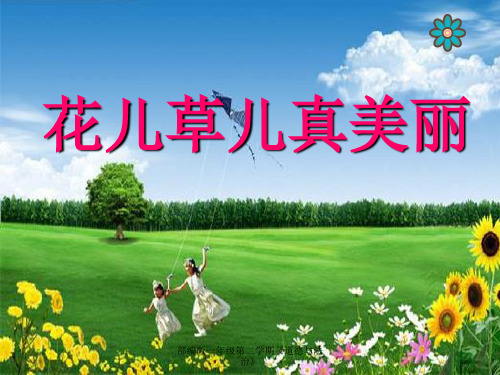 部编版一年级下册道德与法治-花儿草儿真美丽        PPT