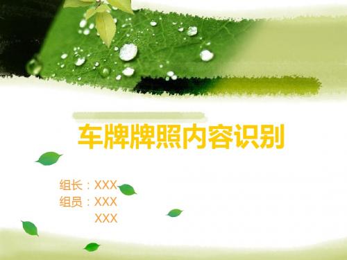 汽车牌照内容识别