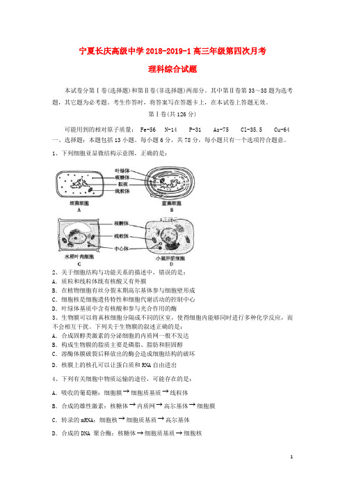 宁夏长庆高级中学2019届高三理综上学期第四次月考试题