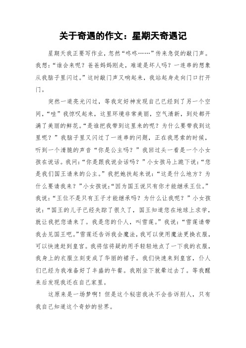 关于奇遇的作文：星期天奇遇记_作文