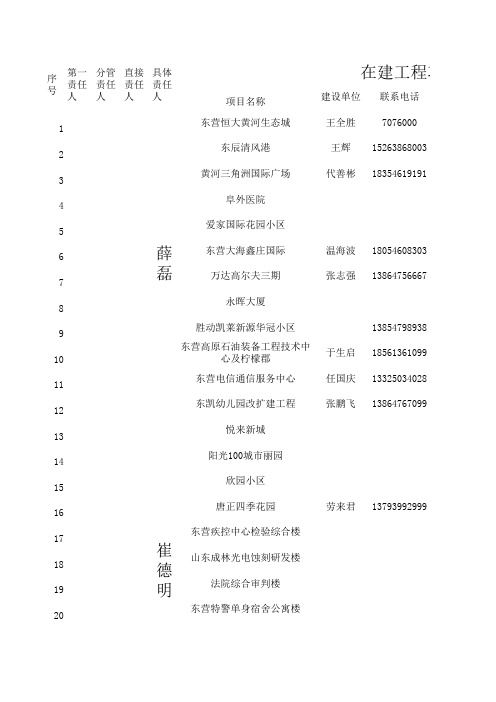 东营经济技术开发区质量安全监督站安全生产网格化管理责任表