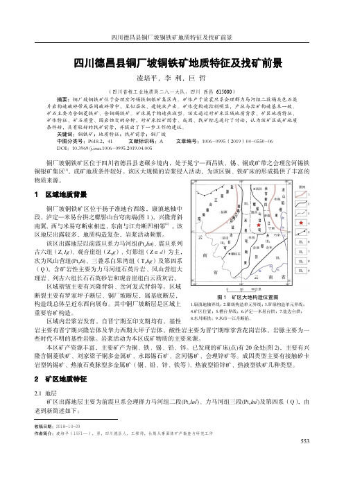 四川德昌县铜厂坡铜铁矿地质特征及找矿前景