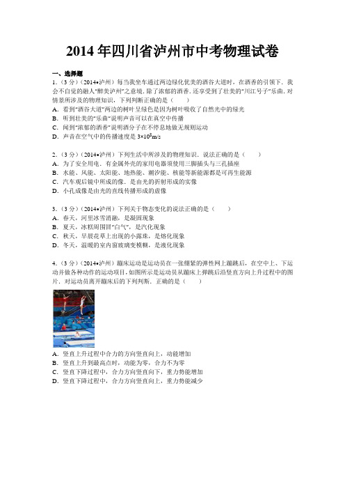 2014年四川省泸州市中考物理试卷及解析解析