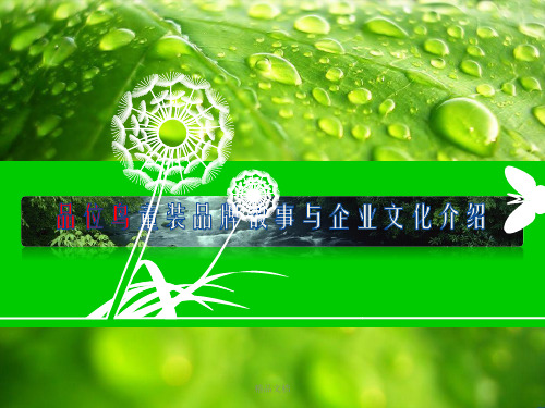 童装品牌故事与企业文化介绍PPT精美教学办公模板幻灯片PPT