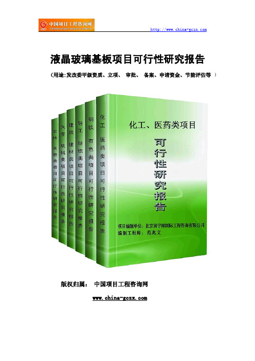 液晶玻璃基板项目可行性研究报告(专业经典案例)