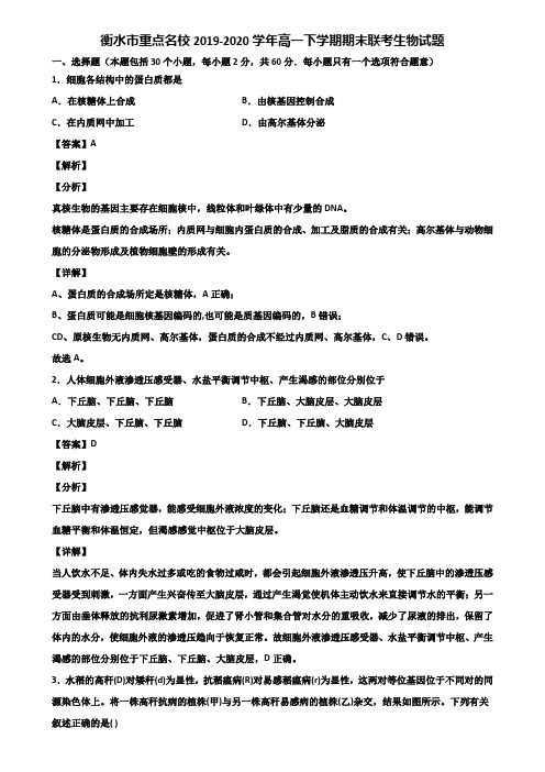 衡水市重点名校2019-2020学年高一下学期期末联考生物试题含解析
