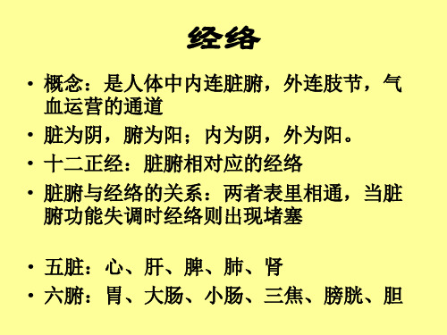实用人体经络动画图绝佳好文课件