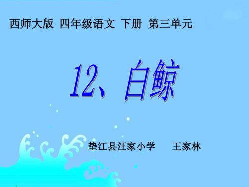 《白鲸》课件(西师大版小学语文四年级下册课件xin)