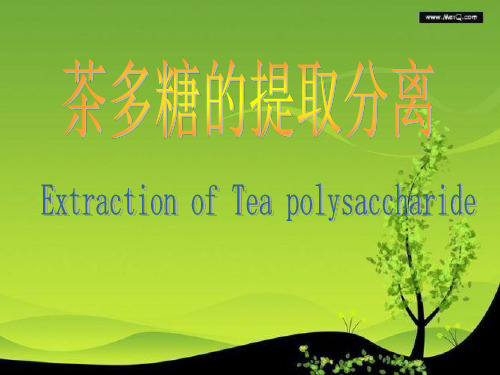 茶多糖的提取分离