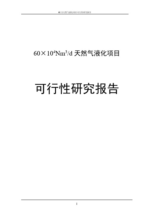 60万LNG天然气液化项目可研报告