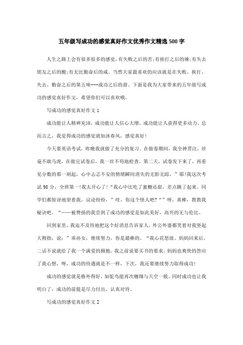五年级写成功的感觉真好作文优秀作文精选500字