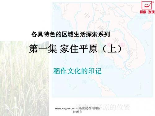 31稻作文化的印记