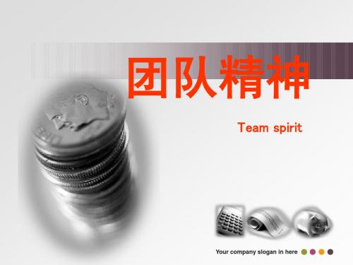 团队精神讲义(新)