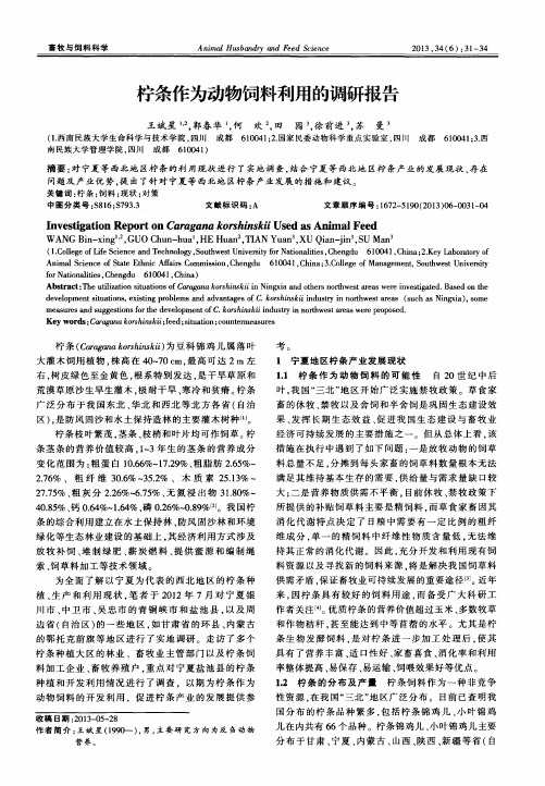 柠条作为动物饲料利用的调研报告