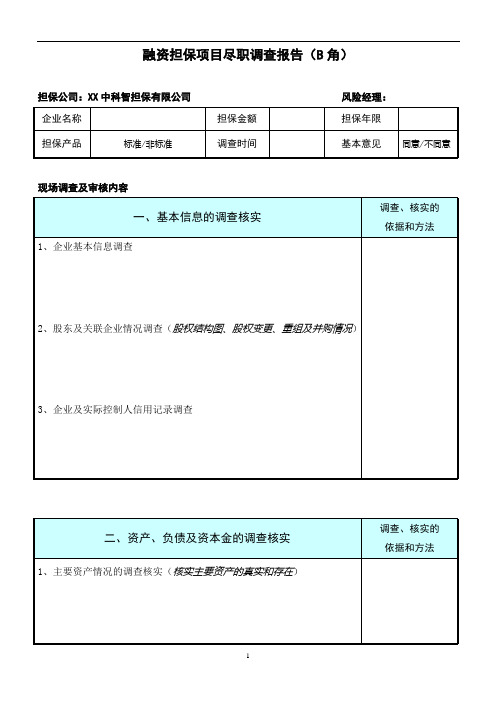 融资担保项目尽职调查报告(B角)