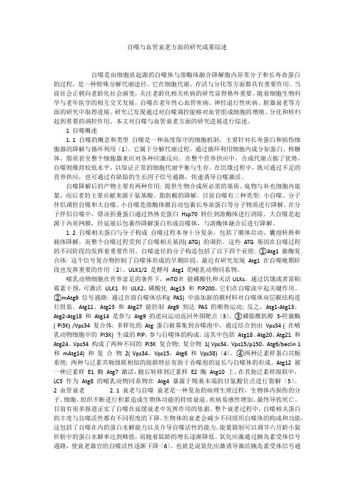 自噬与血管衰老方面的研究成果综述