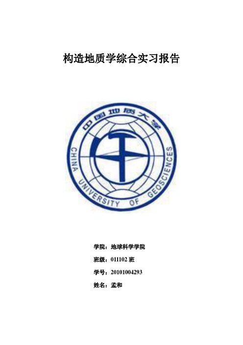 金山镇构造地质学综合实习报告(中国地质大学)