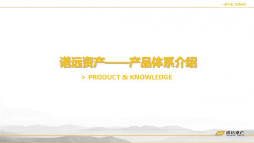 诺远资产——产品体系介绍-文档资料