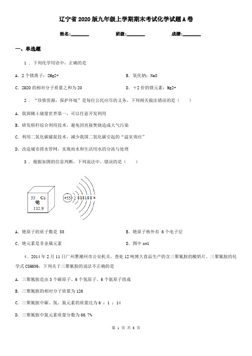 辽宁省2020版九年级上学期期末考试化学试题A卷