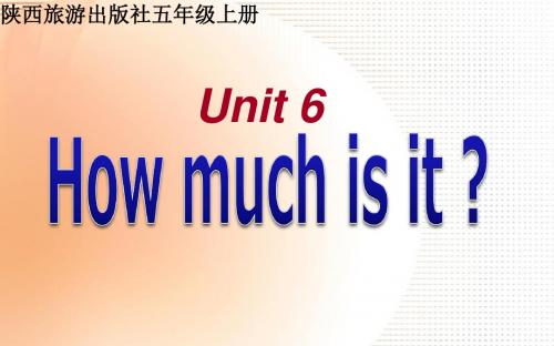 陕旅版五年级英语上册Unit6-How-much-is-it