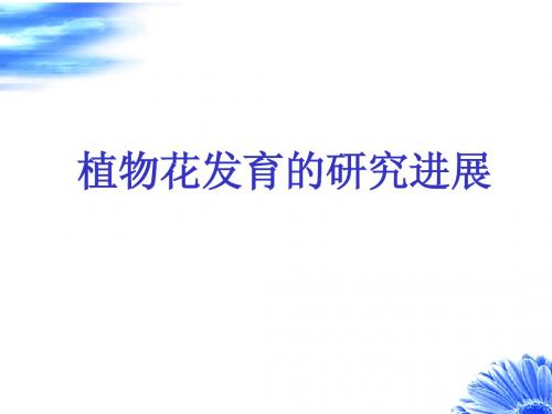 植物花发育的研究进展