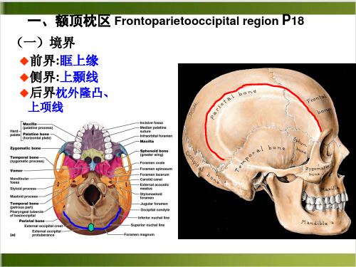 颅顶局部解剖PPT课件