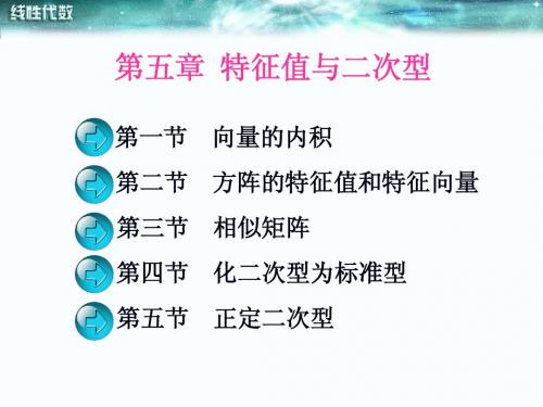 5特征值与二次型