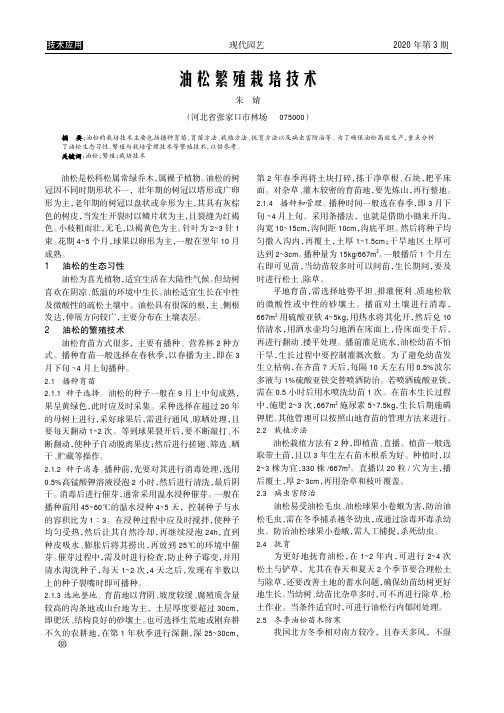 油松繁殖栽培技术