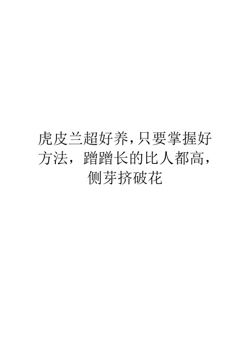 虎皮兰超好养,只要掌握好方法,蹭蹭长的比人都高,侧芽挤破花
