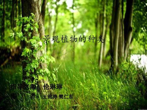 景观植物的种类 ppt课件