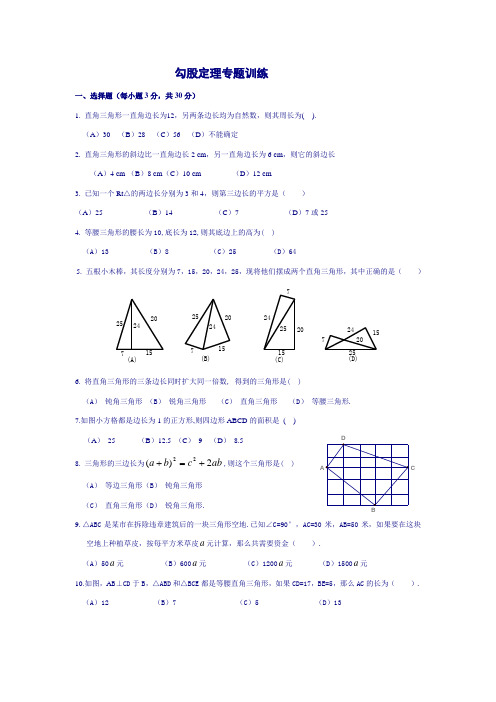 勾股定理专题训练