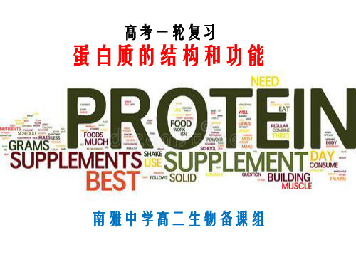 蛋白质的结构和功能