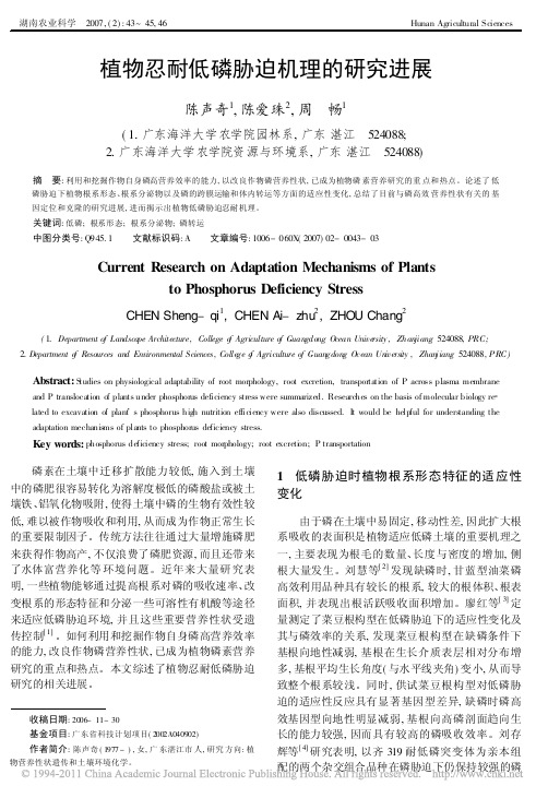 植物忍耐低磷胁迫机理的研究进展